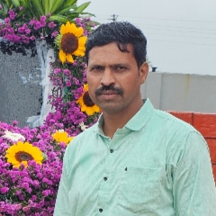 SV43966